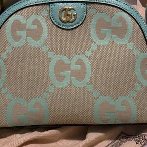 Gucci Beige and Mint Cosmetic Bag